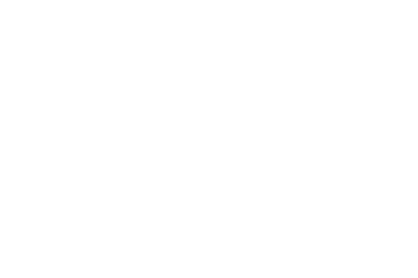 Platinum Shade logo